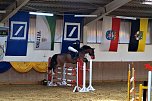 3. Hallenmeisterschaft Springreiten (Foto: nnz)