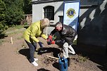 Lions-Rosen f&uuml;r den Park Hohenrode gespendet (Foto: Angelo Glashagel)