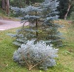 Vandalismus im Park Hohenrode (Foto: Polizei) Vandalismus im Park Hohenrode (Foto: Polizei)