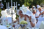 Diner en blanc im Park Hohenrode (Foto: Angelo Glashagel)