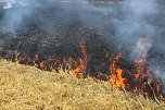 Feldbrand bei Hesserode (Foto: S. Tetzel)