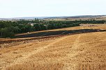 Feldbrand bei Hesserode (Foto: S. Dietzel)