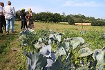Ein Besuch beim &ouml;kologischen Gartenbau in Salza (Foto: Angelo Glashagel)
