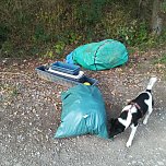 Entsorgter M&uuml;ll im Gumpeweg (Foto: Andreas K.)