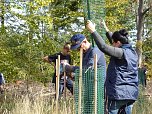 1.000 Wei&szlig;tannen gepflanzt (Foto: nnz)