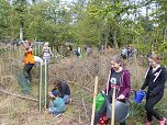 1.000 Wei&szlig;tannen gepflanzt (Foto: nnz)