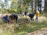 1.000 Wei&szlig;tannen gepflanzt (Foto: nnz)