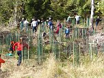 1.000 Wei&szlig;tannen gepflanzt (Foto: nnz)