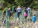 1.000 Wei&szlig;tannen gepflanzt (Foto: nnz)
