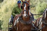 Südharz Rallye für Pferdegespanne (Foto: C. Wilhelm) Südharz Rallye für Pferdegespanne (Foto: C. Wilhelm)