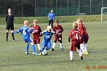 . Pokalrunde der F 2 (U 8) - Jun. FSV Wacker 90 gegen SpG Urbach/Windehausen (Foto: Martina Nebelung)