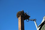 Storchennest in Windehausen wurde "saniert" (Foto: privat)