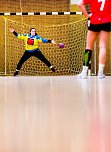Das vergangenen Handball-Wochenende (Foto: NSV)