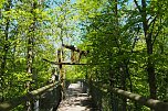 Auf dem Baumkronenpfad (Foto: Familie Friedling) Auf dem Baumkronenpfad (Foto: Familie Friedling)