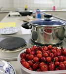 Kochabend mit Silke Staubitz (Foto: Landschaftspflegeverband S&uuml;dharz/Kyffh&auml;user)