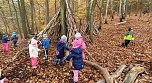 Kleine Spatzen erleben den Wald (Foto: Jennifer Kolditz) Kleine Spatzen erleben den Wald (Foto: Jennifer Kolditz)