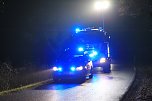 Wildunfall bei R&uuml;digsdorf (Foto: S.Dietzel)