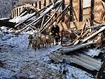 Rettung in der Not: in Lipprechterode konnten die freiwilligen Feuerwehren heute rund 350 Schafe bergen (Foto: Freiwillige Feuerwehr Lipprechterode)