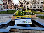Geschm&uuml;ckte Brunnen (Foto: P.Blei)