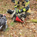 Die Retter der Bergwacht Ellrich konnten Cleo schlie&szlig;lich aus dem Erdfall befreien (Foto: Bergwacht Ellrich)