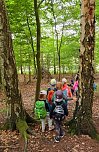 F&uuml;r die Kleinen der Kinderwelt am Frauenberg geht es endlich wieder in den Wald (Foto: Jennifer Kolditz)