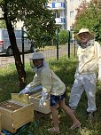 Bienen-Team (Foto: der Heinz-Sielmann-Grundschule Niedersachswerfen) Bienen-Team (Foto: der Heinz-Sielmann-Grundschule Niedersachswerfen)