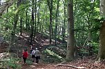Erste Wanderung auf dem Urwaldpfad bei Rüdigsdorf (Foto: S.Staubitz) Erste Wanderung auf dem Urwaldpfad bei Rüdigsdorf (Foto: S.Staubitz)