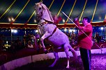 Zirkus Atlantik in Sundhausen (Foto: City-Scout Sven G&auml;mkow)