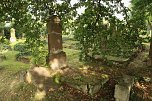 Gräber die Geschichten erzählen - Eindrücke vom jüdischen Friedhof in Nordhausen (Foto: agl) Gräber die Geschichten erzählen - Eindrücke vom jüdischen Friedhof in Nordhausen (Foto: agl)