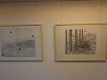 Ausstellung in der Kreissparkasse (Foto: Hans-Georg Backhaus)