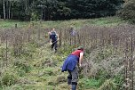 122. Artenschutzeinsatz des BUND-Kreisverbandes (Foto: Bodo Schwarzberg)