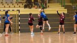 NSV Handball (Foto: NSV)