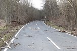 Sturmschäden auf der Landstraße (Foto: S. Dietzel) Sturmschäden auf der Landstraße (Foto: S. Dietzel)