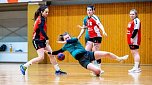 Handball in der Ballspielhalle (Foto: NSV)