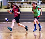 Handball in der Ballspielhalle (Foto: NSV)
