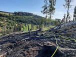 Waldbrand im Birkenmoor (Foto: Fotos: Freiwillige Niedersachswerfen , Freiwillige Feuerwehr Ilfeld/Wiegersdorf / Silvio Dietzel) Waldbrand im Birkenmoor (Foto: Fotos: Freiwillige Niedersachswerfen , Freiwillige Feuerwehr Ilfeld/Wiegersdorf / Silvio Dietzel)