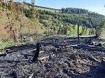 Waldbrand im Birkenmoor (Foto: Fotos: Freiwillige Niedersachswerfen , Freiwillige Feuerwehr Ilfeld/Wiegersdorf / Silvio Dietzel) Waldbrand im Birkenmoor (Foto: Fotos: Freiwillige Niedersachswerfen , Freiwillige Feuerwehr Ilfeld/Wiegersdorf / Silvio Dietzel)