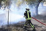 Fl&auml;chenbrand zwischen Gro&szlig;- und Kleinfurra (Foto: S.Dietzel)