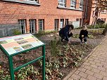 Das Herder-Gymnasium wurde als Umweltschule ausgezeichnet (Foto: Herder Gymnasium Nordhausen)