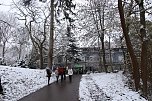 Advent im Park (Foto: F&ouml;rderverein Park Hohenrode)