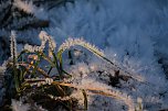 Naturwunder in der Windl&uuml;cke (Foto: Peter Blei)