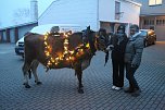 Wenn der Weihnachtsochse�durch die D&ouml;rfer zieht (Foto: S. Dietzel)