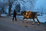 Wenn der Weihnachtsochse�durch die D&ouml;rfer zieht (Foto: S. Dietzel)