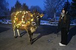 Wenn der Weihnachtsochse�durch die D&ouml;rfer zieht (Foto: S. Dietzel)
