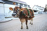 Wenn der Weihnachtsochse�durch die D&ouml;rfer zieht (Foto: S. Dietzel)