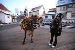 Wenn der Weihnachtsochse�durch die D&ouml;rfer zieht (Foto: S. Dietzel)