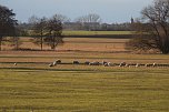 Spaziergang am Stausee Kelbra mit interessanten An- und Aussichten (Foto: P.Blei)