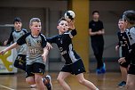 Handballergebnisdient der Damen (Foto: NSV) Handballergebnisdient der Damen (Foto: NSV)