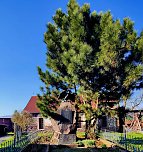 Osterspaziergang im Vorharz (Foto: P.Blei) Osterspaziergang im Vorharz (Foto: P.Blei)