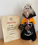 Erfolgreiche weibliche D-Jugend des NSV (Foto: NSV)